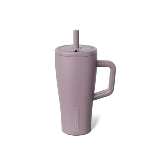 Era 20 oz Tumbler with Handle and Straw
