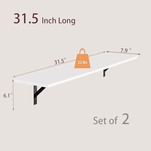 Long Wall Shelves (2 Count)
