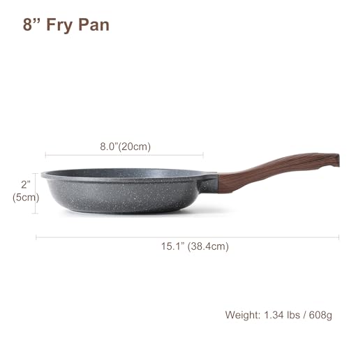 Nonstick Frying Pan Skillet
