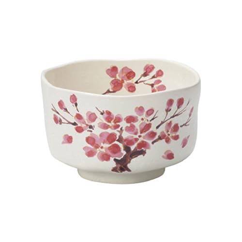 Japanese Traditional Handcrafted Matcha Chawan Tea Bowl Cup Ceremony Tableware Pottery