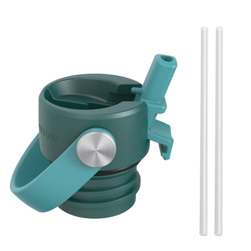 Insulated Water Bottle