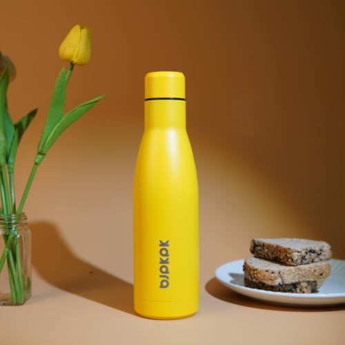 25 oz Insulated Stainless Steel Water Bottle