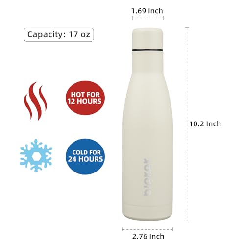 17oz Skinny Insulated Water Bottle