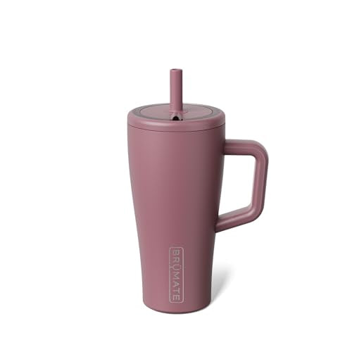 Era 20 oz Tumbler with Handle and Straw