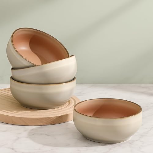 Stoneware Ceramic Cereal Bowls Set of 4 (4 Count)
