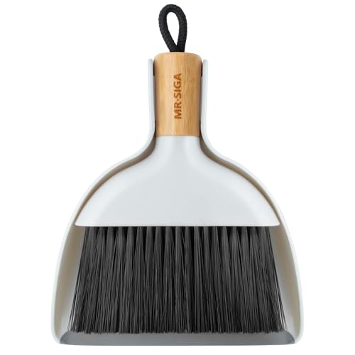 Mini Dustpan and Brush Set