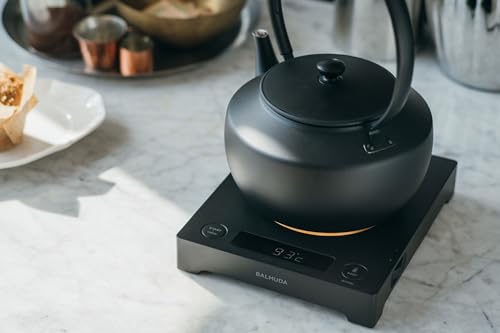 MoonKettle Electric Kettle with Temp Control