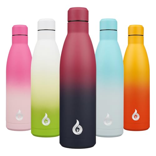 25 oz Insulated Stainless Steel Water Bottle