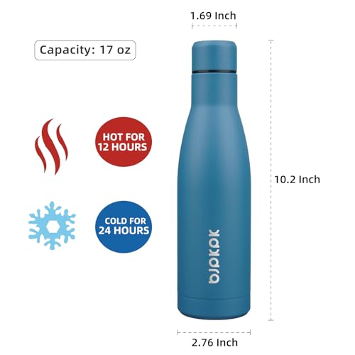 17oz Skinny Insulated Water Bottle