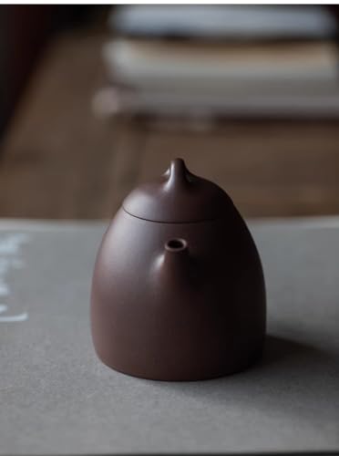 200cc chinese Yixing Handmade Zisha Tian Qing Clay Tian Qing Ni teapot "Qin Quan" Gongfu Teapot tea pot teaworldsupply