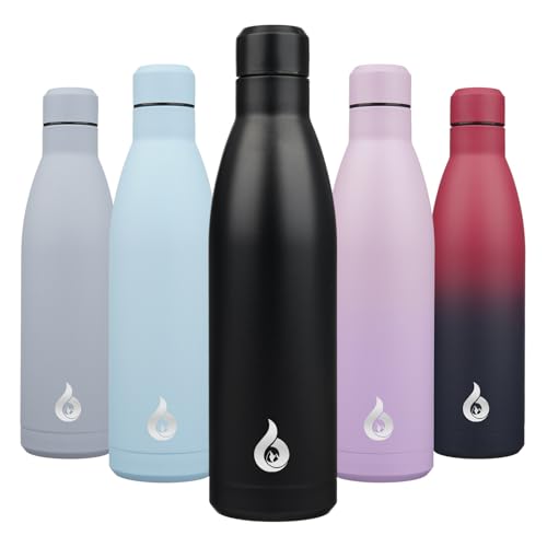 25 oz Insulated Stainless Steel Water Bottle