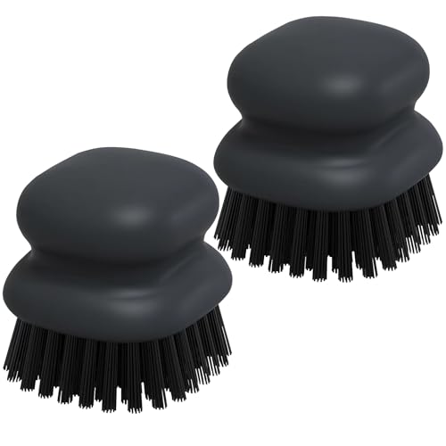 2Pack Dish Scrub Brush (2 Count)