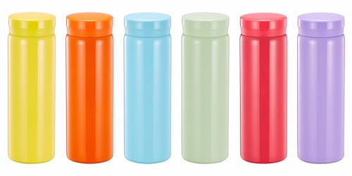 10oz Mini Water Bottle Stainless Steel Small Flask