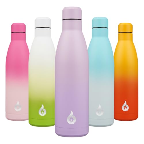 25 oz Insulated Stainless Steel Water Bottle