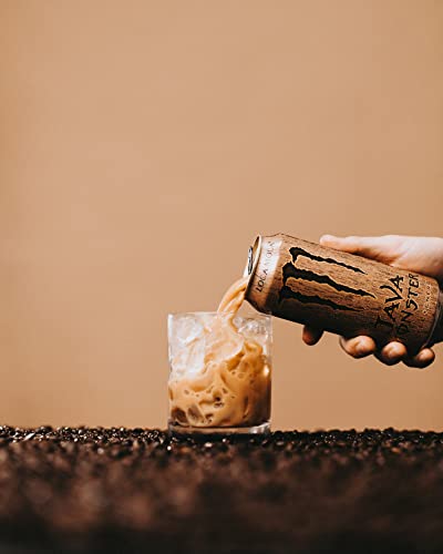 Java Monster Loca Moca (180 Fl Oz)