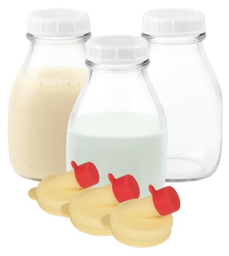 16 Oz Glass Milk Jug with Caps