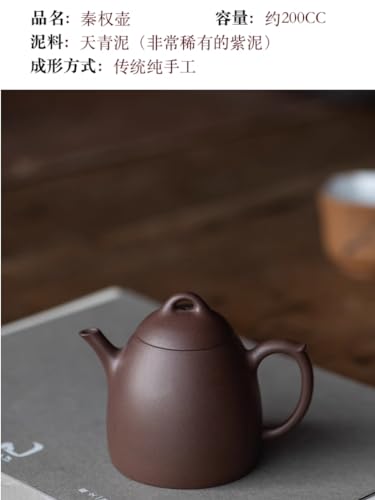 200cc chinese Yixing Handmade Zisha Tian Qing Clay Tian Qing Ni teapot "Qin Quan" Gongfu Teapot tea pot teaworldsupply
