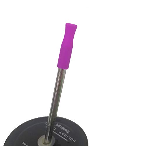 22 Pcs Reusable Straws Tips (22 Count)
