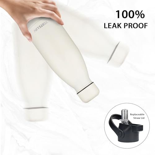 Insulated Water Bottle (2 Count)