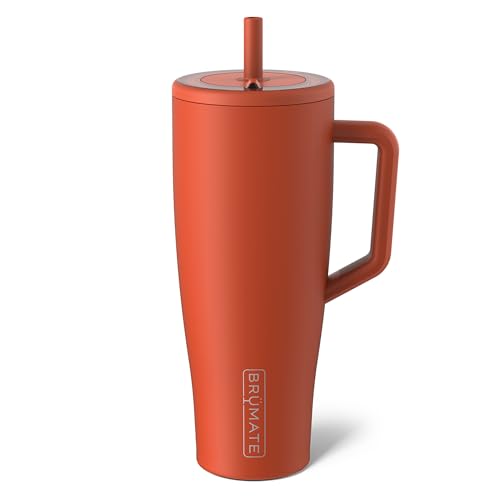 Era 40 oz Tumbler with Handle and Straw (2 Count)
