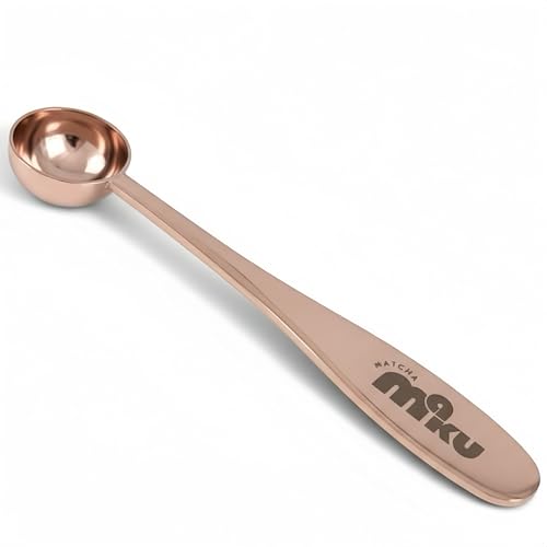 Stainless Steel 1 g Measuring Spoon for Matcha