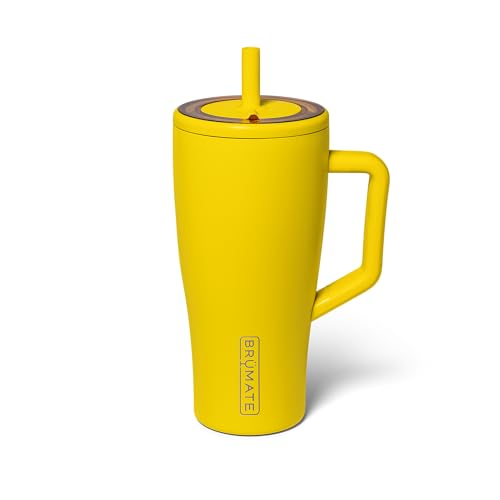 Era 30 oz Tumbler with Handle & Straw