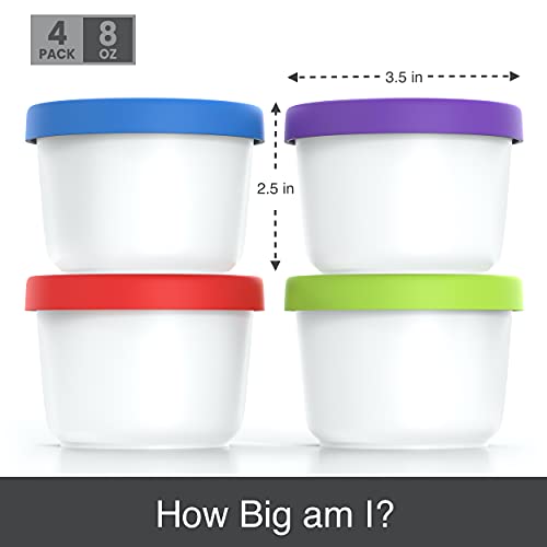 8oz Mini Ice Cream Containers (4 Count)
