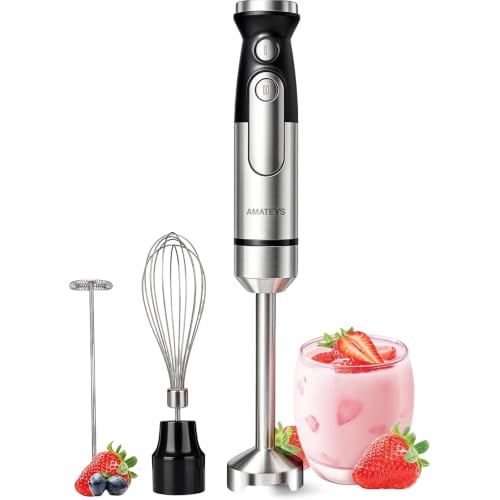 Immersion Hand Blender