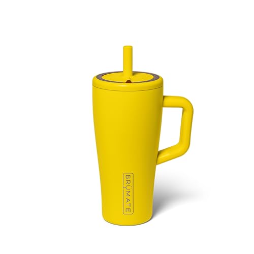 Era 20 oz Tumbler with Handle and Straw