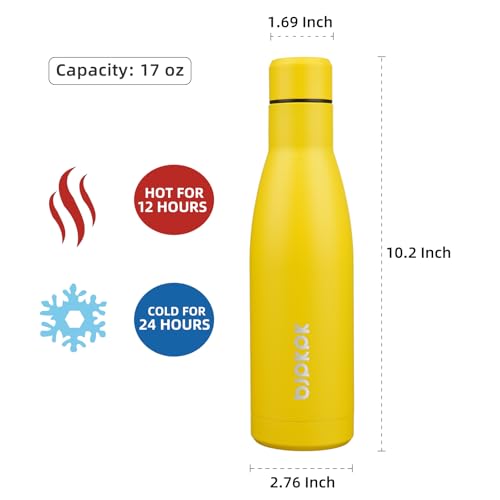 17oz Skinny Insulated Water Bottle
