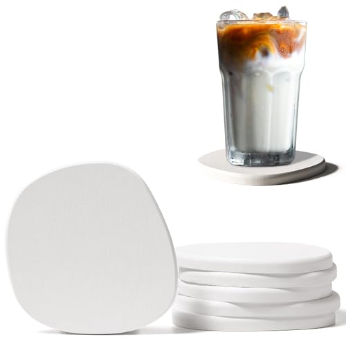 6 Pack Diatomite Absorbent Coasters for Drinks (6 Count)