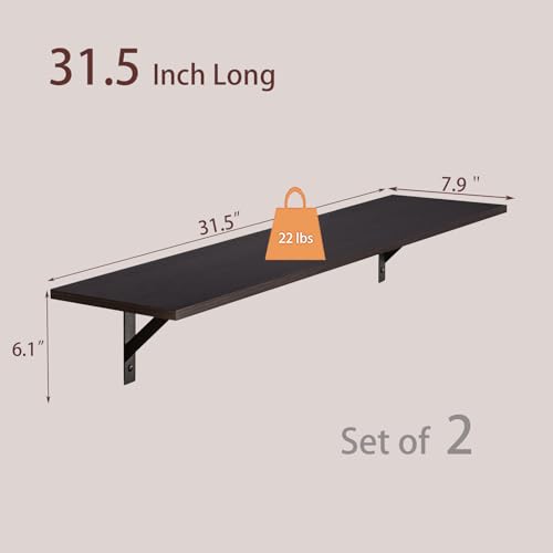Long Wall Shelves (2 Count)