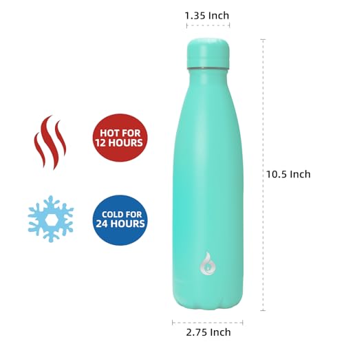 17 oz Small Insulated Water Bottle