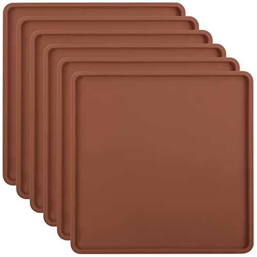 6Pcs Silicone Food Dehydrator Sheets with Edge (6 Count)