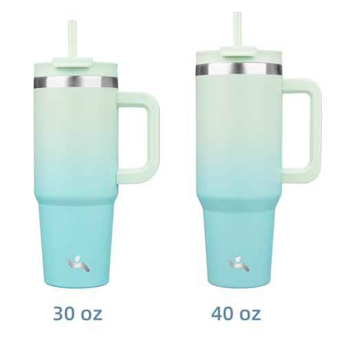 30 oz Insulated Tumbler Water Bottle with Handle