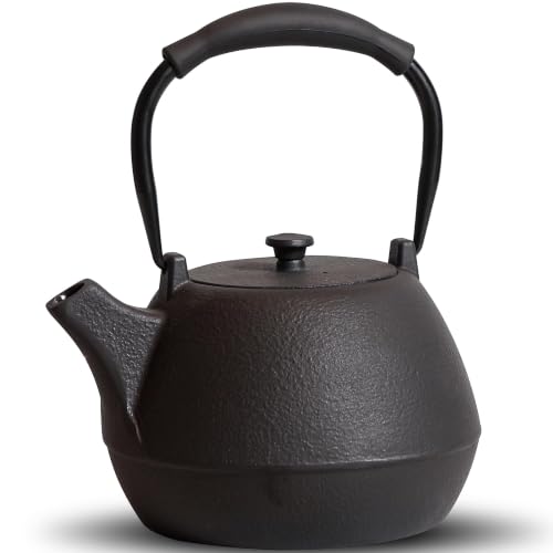 Cast Iron Teapot