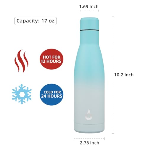 17 oz Insulated Thermal Metal Water Bottle
