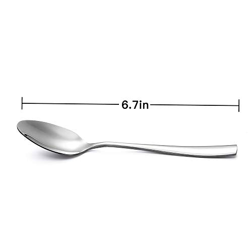 12 Piece Stainless Steel Teaspoon (12 Count)
