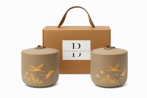 Ceramic Canister with Airtight Lid (2 Count)