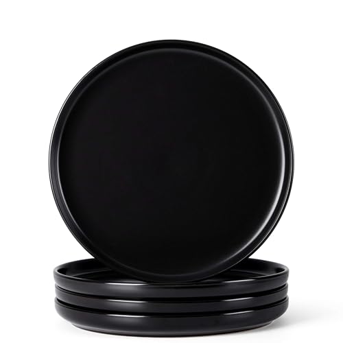 4 Piece Stoneware Dinner Plates Set