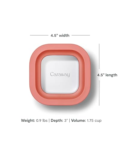 Mini Square Food Storage Container