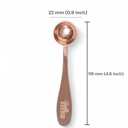 Stainless Steel 1 g Measuring Spoon for Matcha