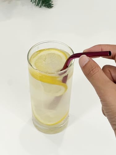 10 Pcs Stainless Steel Straws