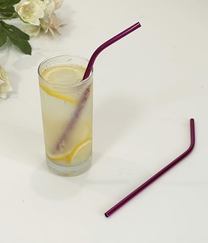 10 Pcs Stainless Steel Straws