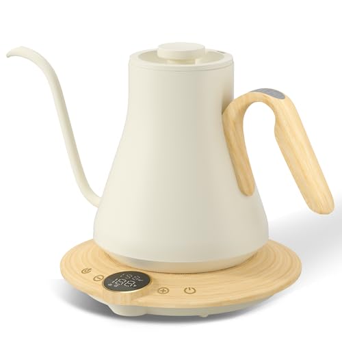 Gooseneck Electric Kettle