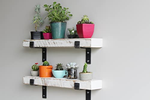 Accent Shelves (2 Count)