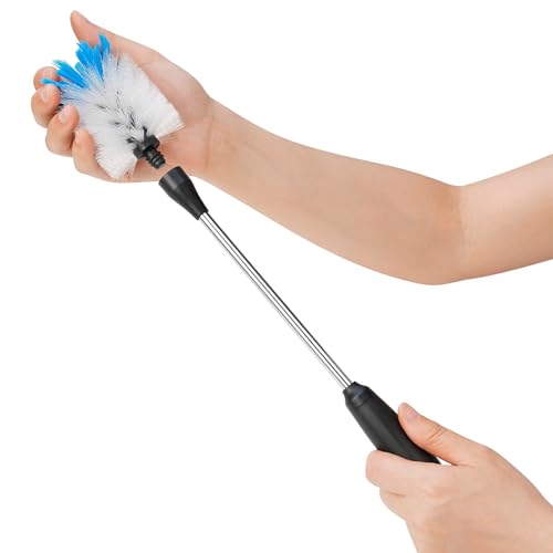 Stainless Steel Bottle Brush with Replaceable Head (2 Count)