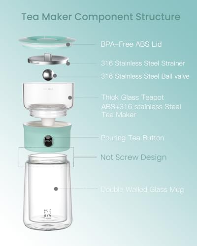 Modern Glass Infuser Teapot