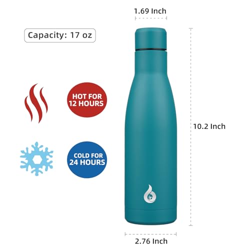 17 oz Insulated Thermal Metal Water Bottle