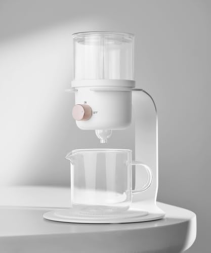 Glass Tea Pot with Infusers for Loose Tea and Drip Coffee Pour Over